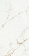 20mm Porcelain - MARFIL