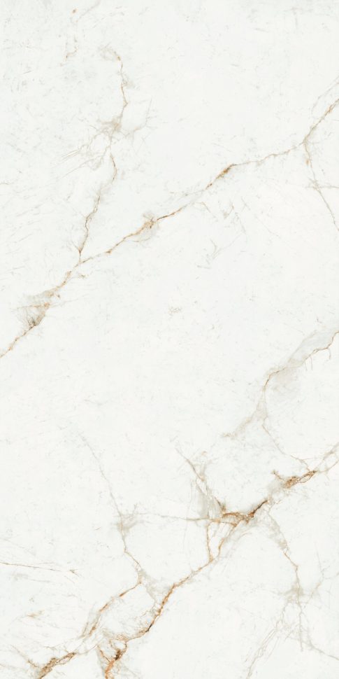 20mm Porcelain - MARFIL
