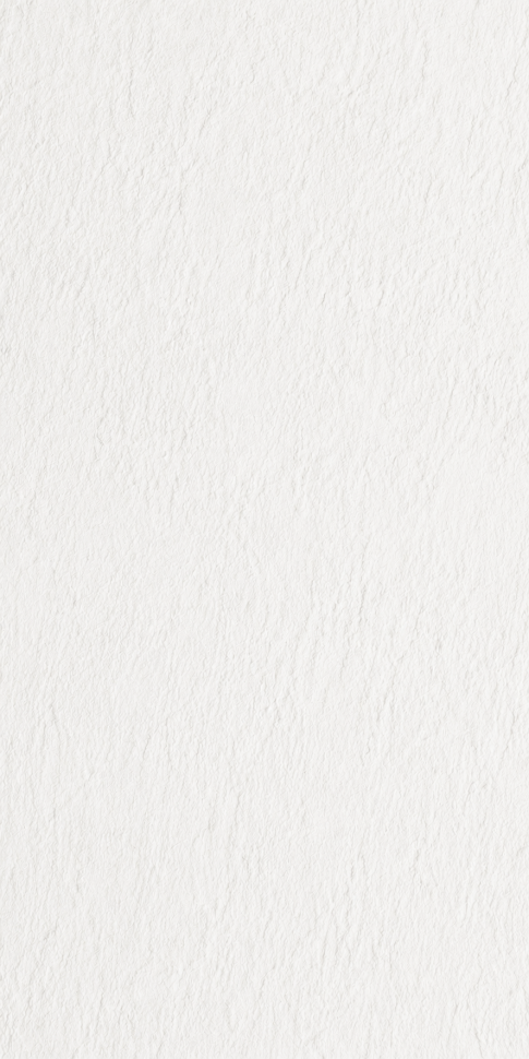 20mm Porcelain - Bianco